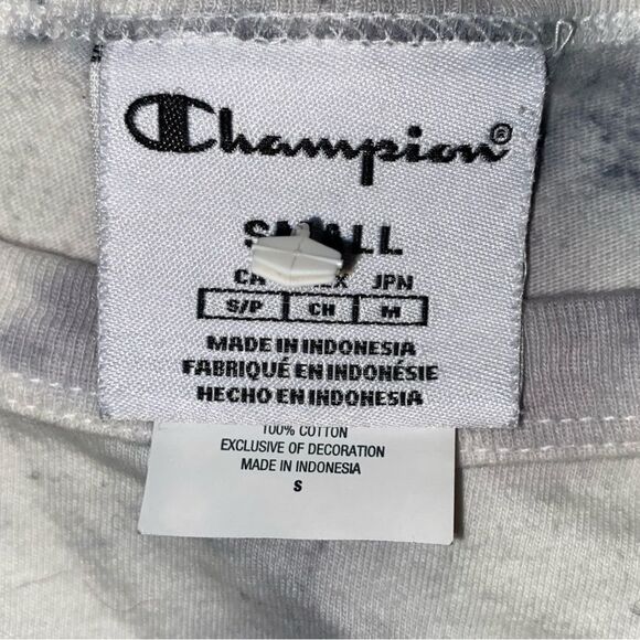 Champion Big Sky Tie Dye Cropped Tee Size Small - Picture 3 of 3